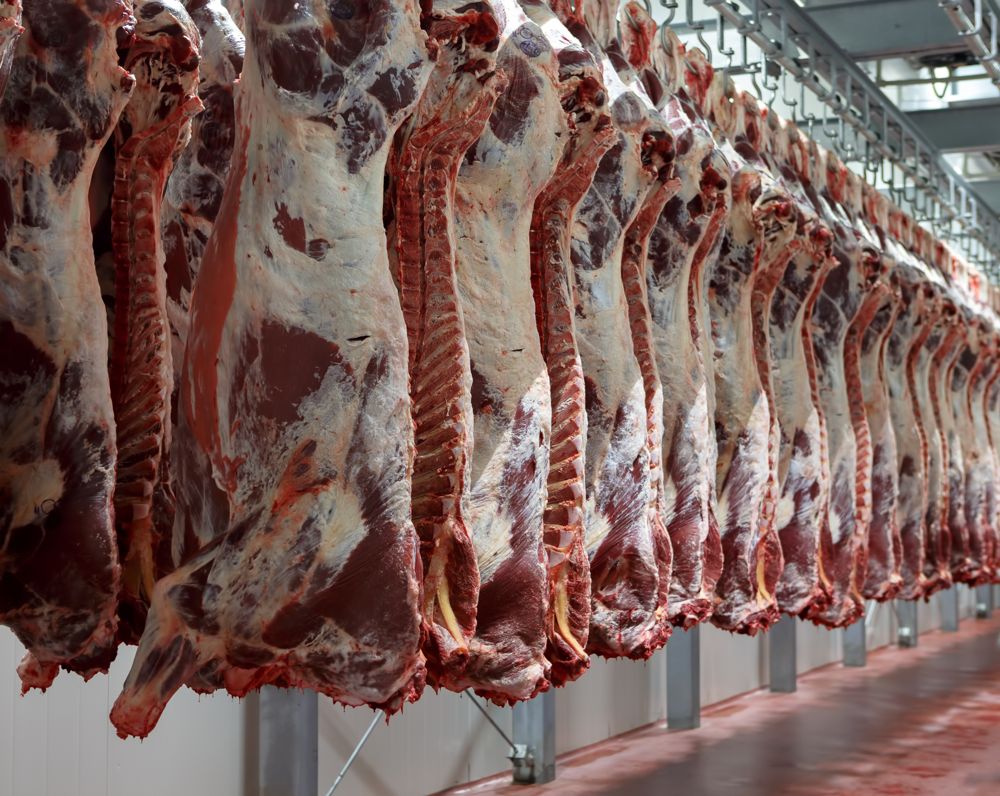 Cool Meat: The Future of Livestock &amp; Meat Trade